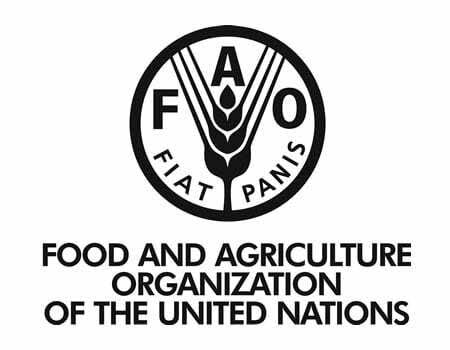 FULLY FUNDED: Internship Opportunities at United Nations Food and Agriculture Organization,2023