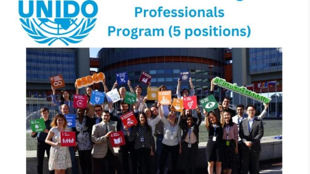 PAID PROGRAM! Apply for the United Nations/UNIDO Young Professionals Programme
