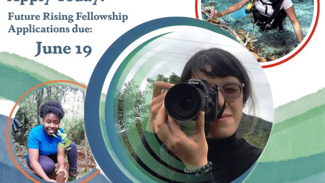 USD 5000 GRANT: Apply for this 2023 cohort of Future Rising Fellowship