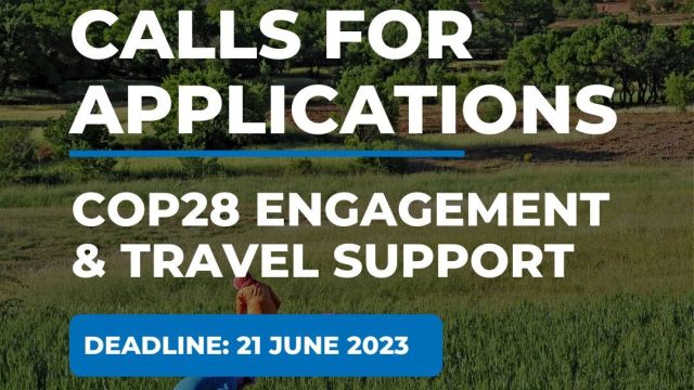 Apply for the COP 28 Travel Support Application for Underrepresented Groups