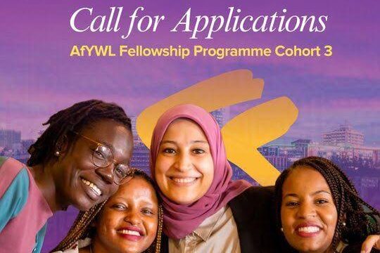 FULLY FUNDED: Apply for the African Young Women Leaders (AfYWL) Fellowship Programme by UNDP and African Union