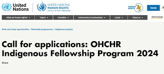 FULLY FUNDED TO SWITZERLAND: Apply for this United Nations OHCHR Indigenous Fellowship Program 2024