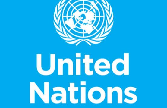 Online Opportunities with United Nations Volunteers: Join a Social Media Campaign on Digital Literacy and Clean Water!