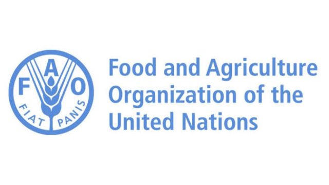Apply for this FAO Regional Office for the Near East and North Africa (RNE) Internship 2024 for youth