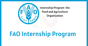 FULLY FUNDED : Apply for the United Nations Food and Agriculture Organization internship program for Near East and North Africa (RNE)