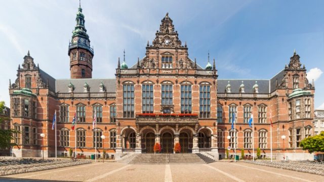 JOB OPPORTUNITY : University of Groningen is looking for Software Developer for Education