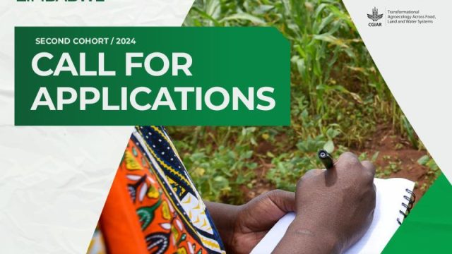 Calling Agripreneurs: Unleash Growth in Southern and East Africa with CGIAR’s Food Systems Accelerator 2024!