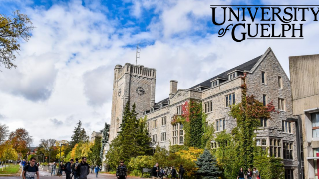 Fully Funded to Canada : Check out the University Of Guelph Scholarships 2024 for International Students