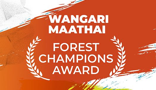 USD 20,000 GRANTS: Apply for this Wangari Maathai Forest Champions award 2024 for restoring forests