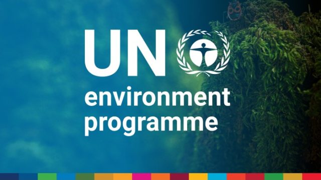 Work from Home : United Nations Environment Programme is hiring a Lead Management expert
