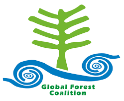 Work from Home Opportunity : Become a remote director at Global Forest Coalition (GFC)