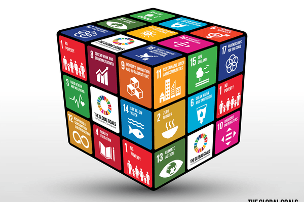 sustainable-development-goals-sdg-min