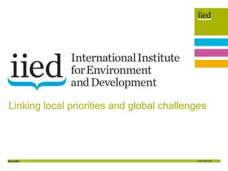 Work from Home Opportunity: Become a Researcher at the International Institute for Environment and Development (IIED)