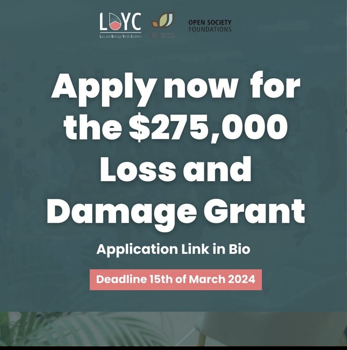 APPLY NOW; The long-awaited $275,000 Loss and Damage grant is open for ...