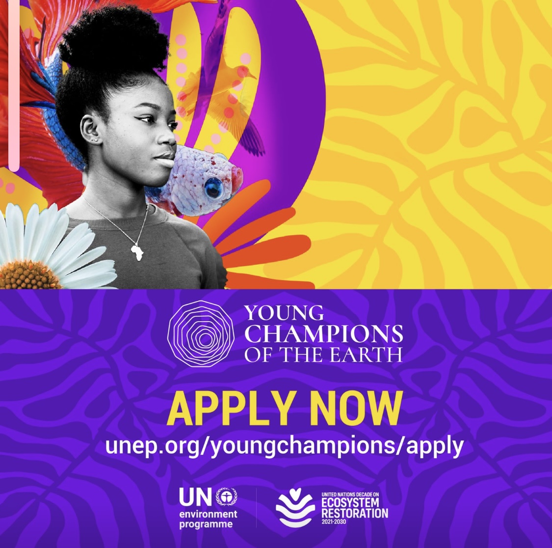 FULLY FUNDED Apply for this UNEP Youth Champions of the Earth program