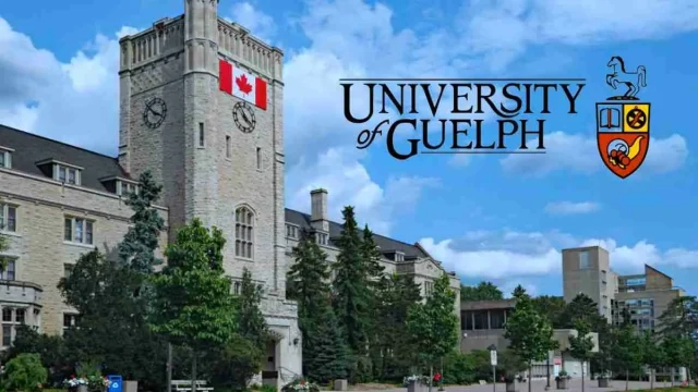 Fully Funded to Canada: Submit an application to the University of Guelph’s Arrell Graduate Scholarships