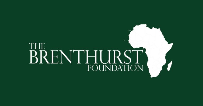 Brenthurst-Foundation-Machel-Mandela-Internship-Programme-2024-768×403