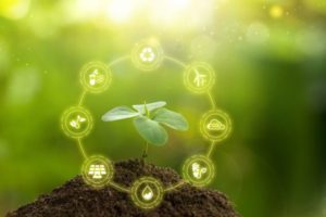 Grants of £1,000 are available : Apply for the Sustainability Accelerator Microgrants 2024