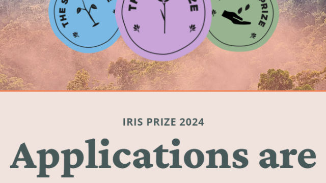 UP TO 15,000 USD AVAILABLE: Apply for the Iris Prize 2024 now!