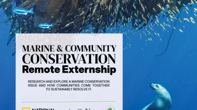Remote Externship with a stipend of $500 stipend at National Geographic Society & The Nature Conservancy Marine and Community Conservation , Apply now