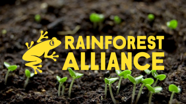 Job Opportunity :Rain Forest Alliance is hiring LandScale Programme Officers from multiple locations 