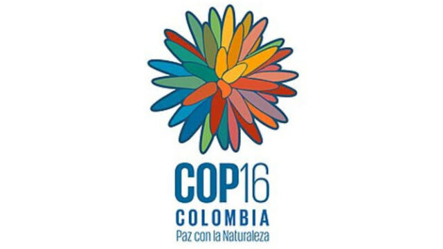 FULLY FUNDED: Apply for this Solidarity and Support Program to attend COP16 Biodiversity Summit in Columbia