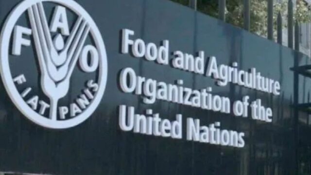 Funded : Apply for the Food and Agriculture Organization of the United Nations (FAO) Fellowship 2024