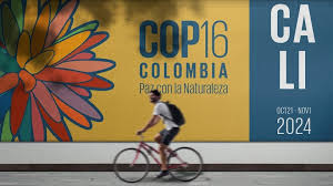 FULLY FUNDED : Apply to attend & Cover the UN Biodiversity Conference (UNCBD COP16) in Cali, Colombia
