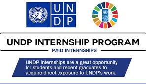  Paid Internship : Apply for the 2024 United Nations UNDP Internship