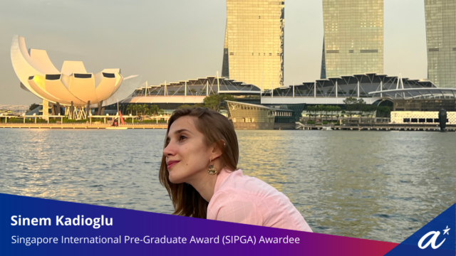Paid Internship :Check out the 2024 Singapore International Pre-Graduate Award (SIPGA) – All Countries