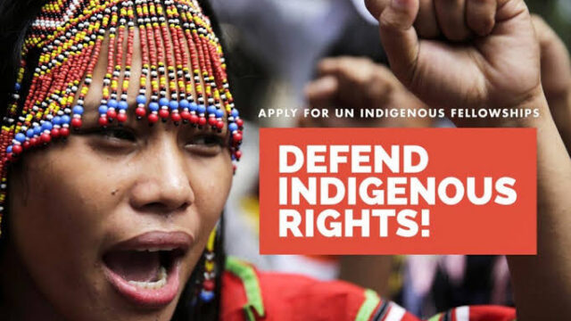 FULLY FUNDED: Apply for this United Nations OHCHR Indigenous People Fellowship Program 2025