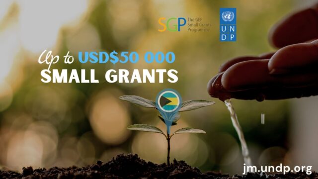 GRANTS : Global Environment Facility Small Grants Programme (GEF SGP) is awarding grants of up to $50,000 for community-driven projects focused on biodiversity conservation, sustainable land management, and capacity development