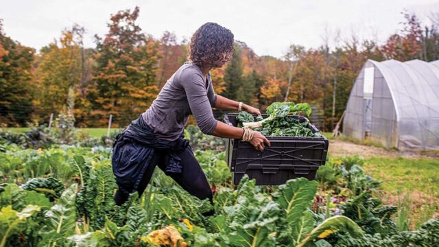 With a prize of $20,000 from Biovision Foundation : Apply for the Agroecological Food Futures Prize, ( plus a fully funded trip to Kigali Pitching and Award Ceremony )