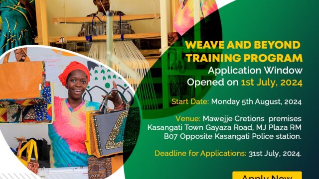 Apply for the First Cohort of Weave and Beyond Training Program: Empowering Youth in Fashion and Art