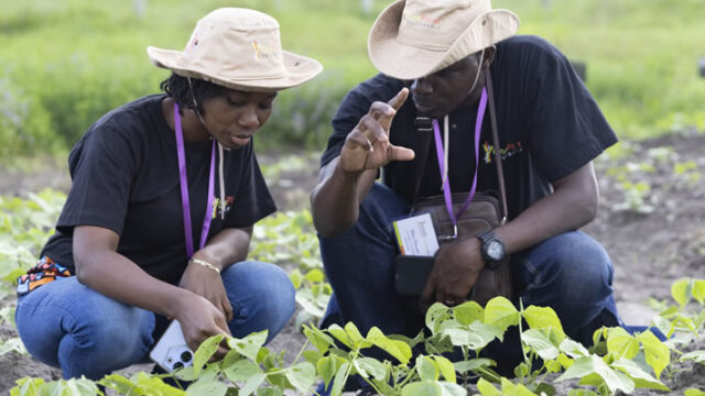 FUNDED : Apply for the Accelerating African Women’s Leadership in Climate Action Fellowship