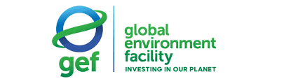 PAID INTERNSHIP : Check out The Global Environment Facility Internship Program for (graduates & recent graduates )