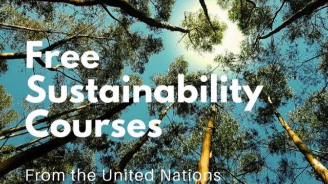 Apply for the United Nations Free Sustainability Courses