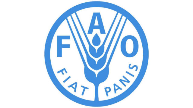 Apply for this FAO Regional Office for Africa Internship Programme 2025