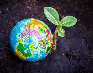 Climate Intervention Environmental Impact Fund Grant Program – Apply now  ( CIEIF will offer three grants, each with an increased award amount of $75,000.)