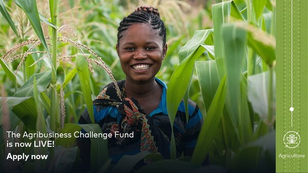 Check out The Agribusiness Challenge Fund by Mastercard Foundation Fund for Resilience and Prosperity ( grants ranging from US$ 500,000 to US$ 2,500,000,)