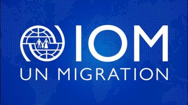 Apply to join the UN Migration (IOM) Youth Strategy Advisory Group 2025