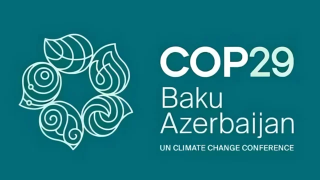 COP29 : Apply to be Remote Delegate 