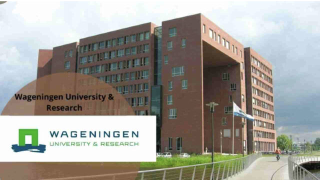 Fully funded to the Netherlands. Apply now for the 2025 Wageningen University Africa Scholarship.