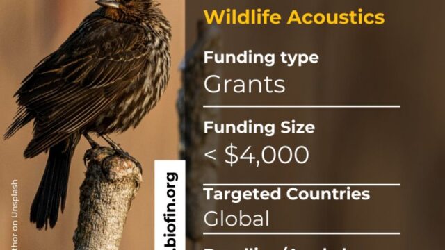 With a Grant amount of $12,000 : Apply for the Wildlife Acoustics Grant Program 