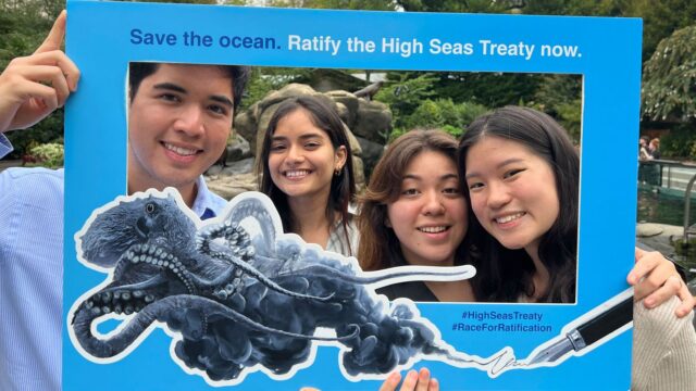 Join High Seas Youth Ambassadors Program – Apply now 