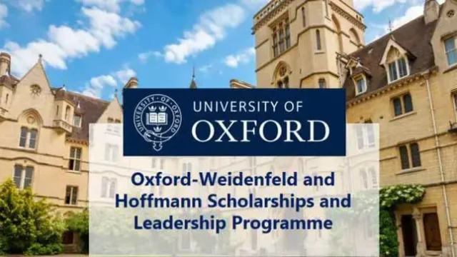 FULLY FUNDED TO UK : Apply for the Weidenfeld-Hoffmann Scholarships and Leadership Programme