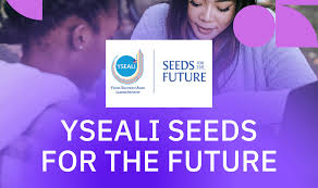 FUNDING : Apply for the YSEALI Seeds for the Future Program 2025