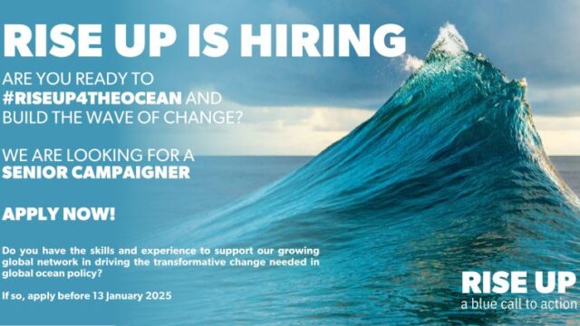 Fully Remote Job Opportunity :RISE UP is looking for a Senior Campaigner 