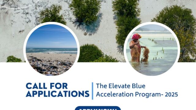 Access to Funding : Be part of the Elevate Blue Project Acceleration Program – Apply now