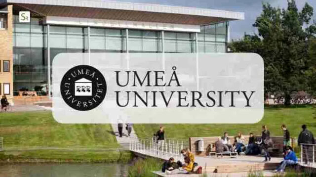 Funded to Sweden!! Apply for the 2025 Umea University Scholarship now!!